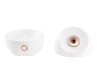 Beautifly Sauna do twarzy SkinMist Pro, Nano-jonowa - 1597965 - zdjęcie 6